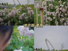 -南京金陵饭店