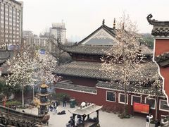 -长春观