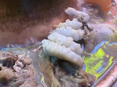 -鑫渔港海鲜本地菜·山海关浑锅(东戴河店)