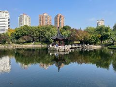 -和平公园