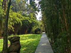 -鹿野苑石刻艺术博物馆