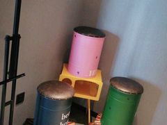 -梵猫·新养生(湛江鼎盛店)