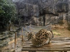 -杭州野生动物世界