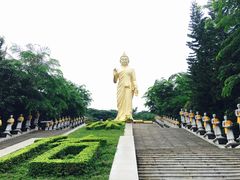 -西双版纳勐泐文化旅游区