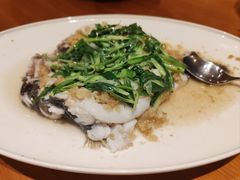 -广州富力君悦大酒店空中花园