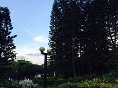 -四海公园(南山区)