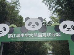 -都江堰中华大熊猫苑
