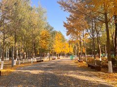 -东升八家郊野公园