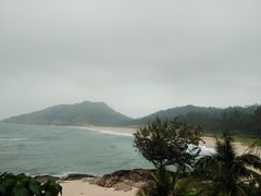 -广东惠东海龟国家级自然保护区