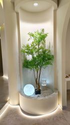 -VE专注问题肌·赛诺龙&科学美肤中心