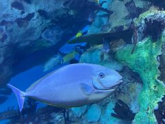 -珠海长隆海洋王国