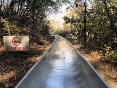 -富斯特索道