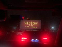 -枫花园汽车电影院(朝阳公园店)