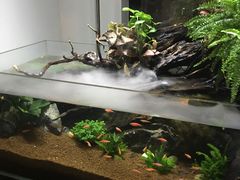 -Together·泰式按摩精油SPA(天山店)