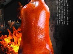 热河烤鸭-热河食府(中山路店)