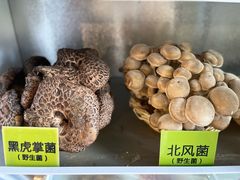 -菌海森林·非遗野生菌火锅(西山区滇池路摩根道店)
