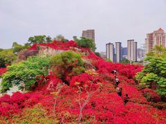 -仙岳公园