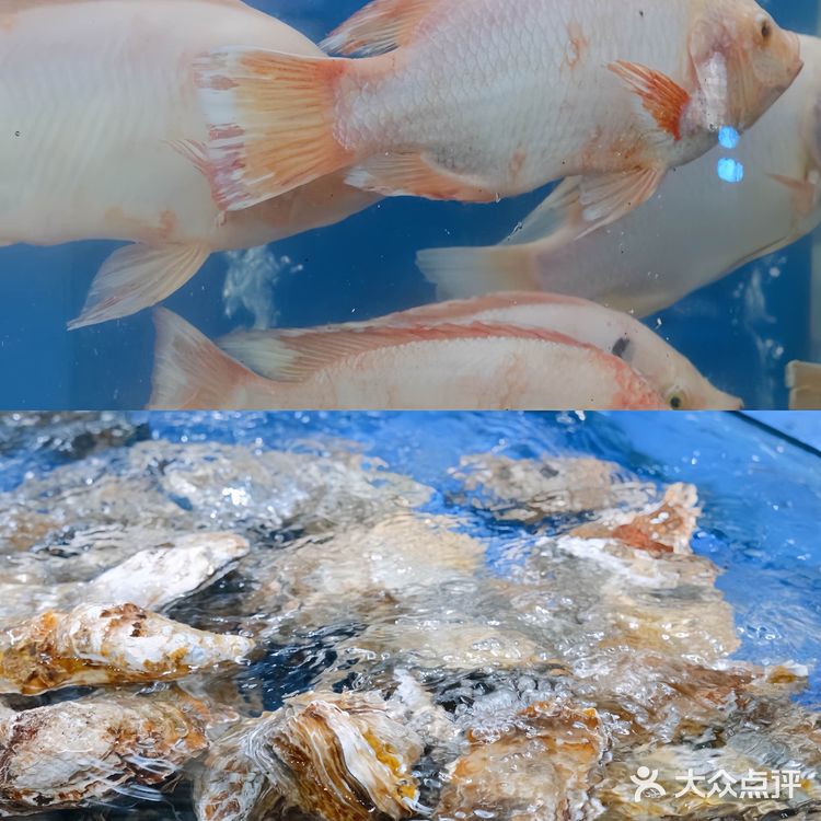 我真的会谢!这一口下去也太好吃了吧!