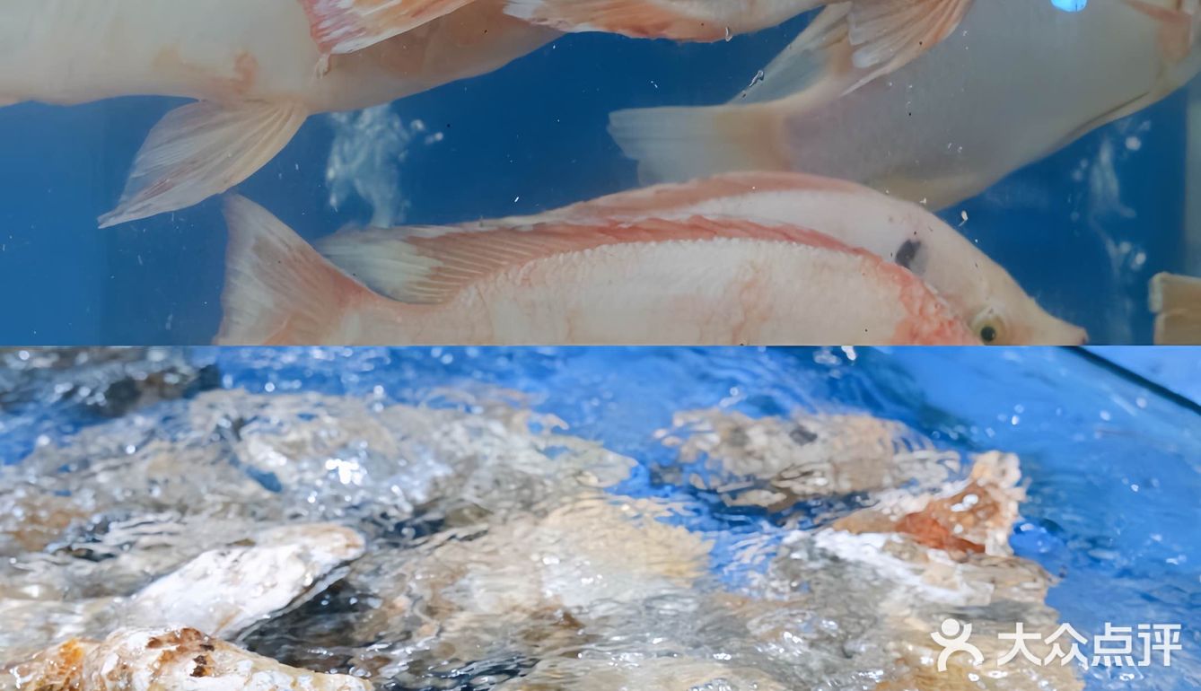 我真的会谢！这一口下去也太好吃了吧！