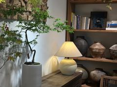 -自由生长植物工作室(深港花卉中心店)