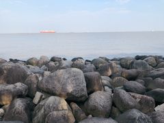 -吴淞炮台湾湿地森林公园烧烤区