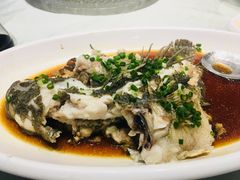 肉饼底蒸笋壳-金满楼(天河中路店)