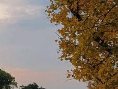 -句容茅山景区