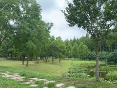 -黄海国家森林公园