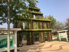 -武清南湖绿博园