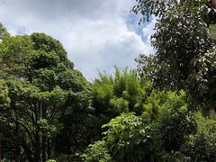 -叠水河瀑布