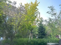 -清河半岛温泉度假酒店