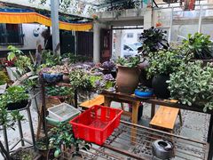 露天位-尼玛藏家风味园(阿山食城店)