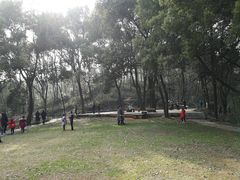 -团城山公园