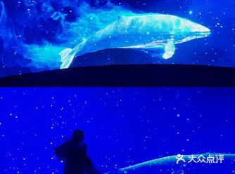 看了一场“手可摘星辰”的展 星河欲转千帆舞