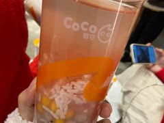 -CoCo都可(骆家庄新店)