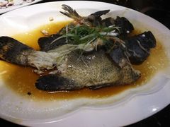 -渔傅·蓝海岸霞浦海鲜(正祥店)