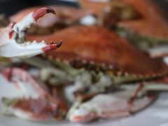 -顶之鲜海鲜餐厅