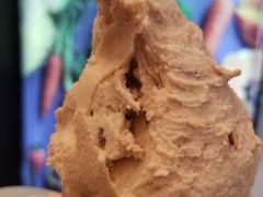 -野人先生现做冰淇淋(北京环宇荟店)