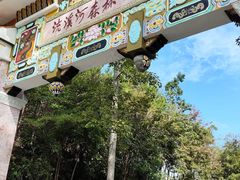 -广州市流溪河国家森林公园