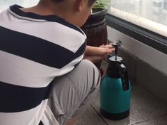 -新湖明珠城