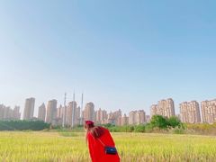 -花溪公园