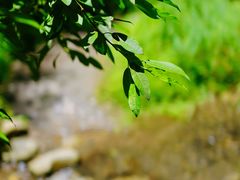 -龙门涧景区