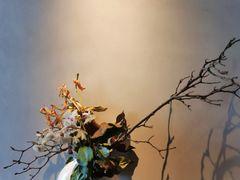 -苏帮袁·竹(北京坊店)