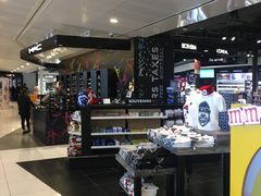 -蒙特利尔皮埃尔·埃利奥特·特鲁多国际机场