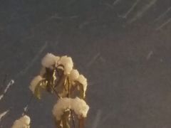 -西湖游船