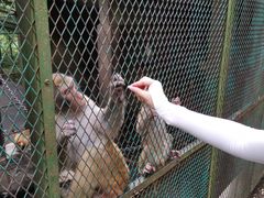 -藏龙百瀑风景区