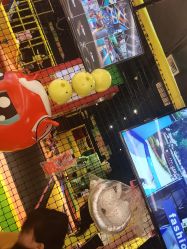 -蹦蹦跳跳(新奥购物中心店)