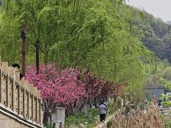 -南北湖风景区