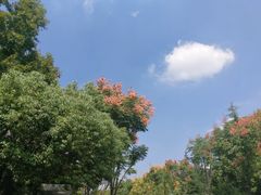 -友达面馆·酸菜鱼面(钱塘区店)
