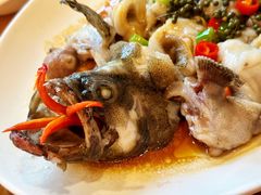 鲜花椒蒸龙趸鱼-德胜轩正宗顺德菜(宝安沙井会展中心店)